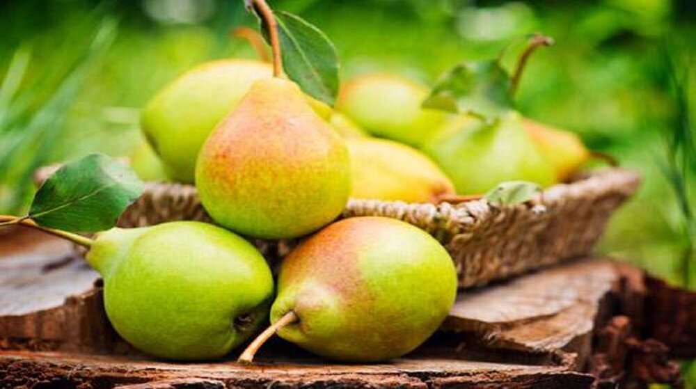 برای رفع یبوست این میوه‌ها را بخورید