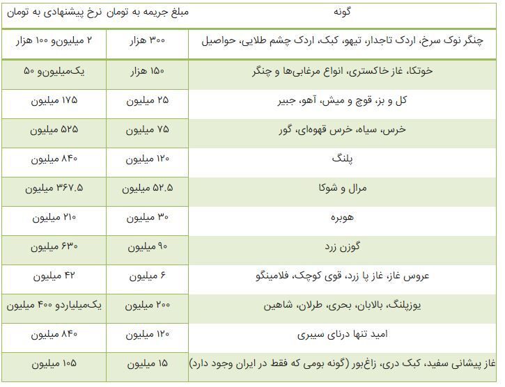 جریمه شکار یوزپلنگ ایرانی چقدر است؟