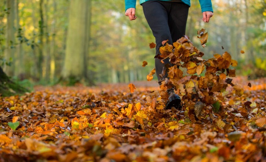 دلیل علمی‌ای که نشان می‌دهد نشستن روی مبل برای شما خوب است! / خوانده شد