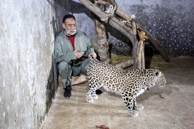 این مرد ۷۰۰ حیوان در خانه‌اش نگهداری می‌کند؛ از پلیکان بادیگارد تا ببر سیبری!