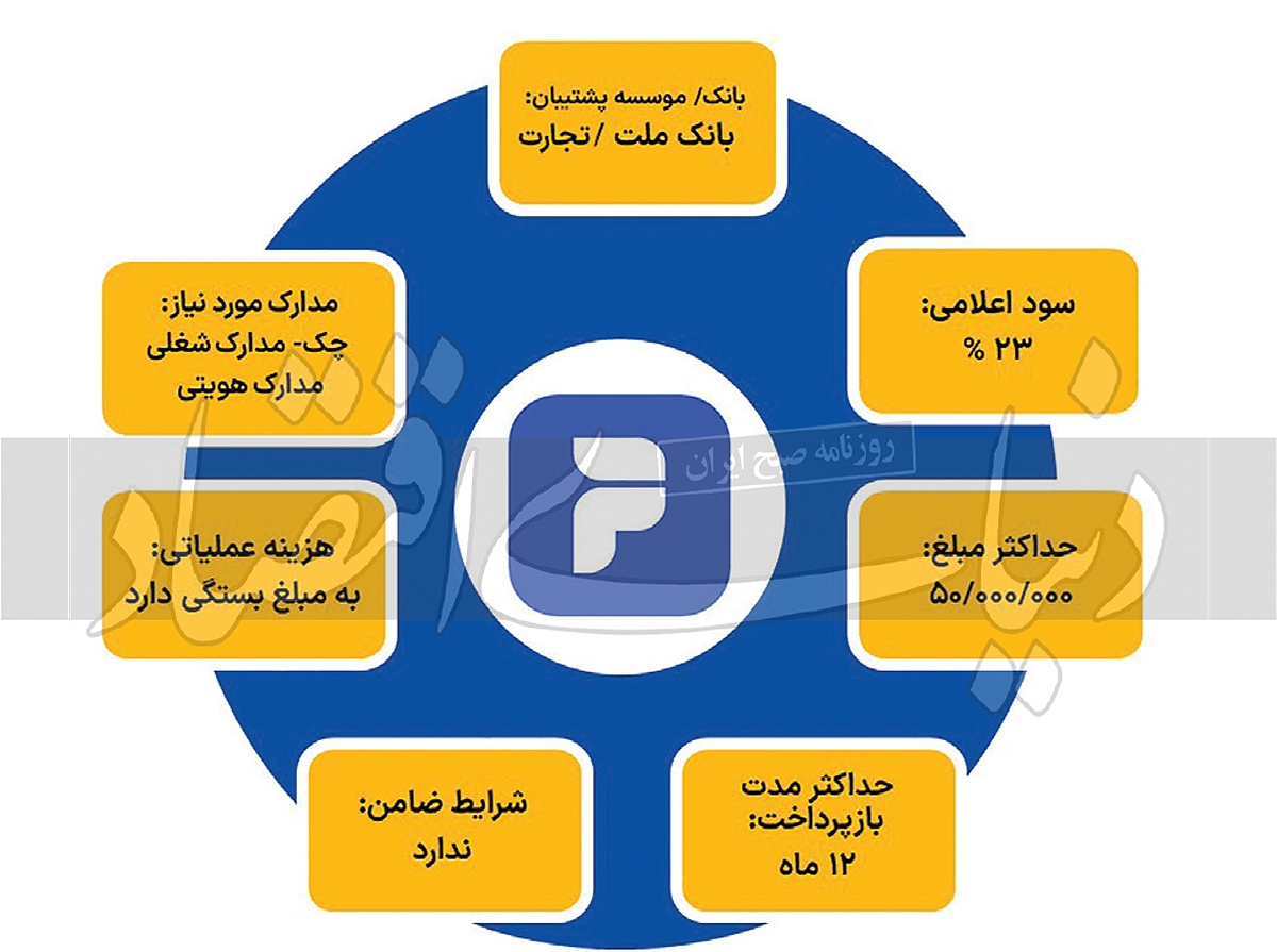 دریافت تسهیلات خرد از کدام شرکت ساده‌تر است؟ ///