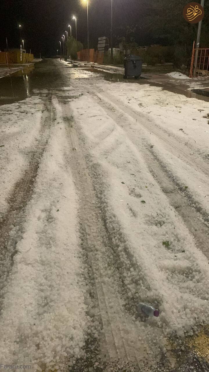 (عکس)