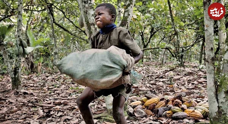 (تصویر) تاریخچۀ پرماجرای «شکلات»؛ از تمدن آزتک تا کارخانه‌های سوئیس