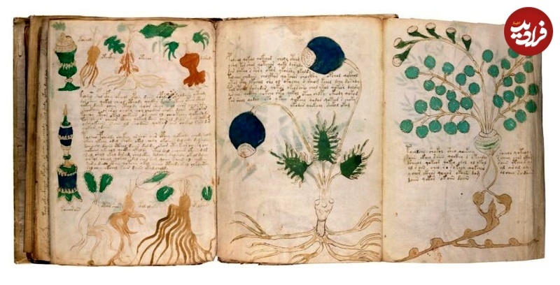 سرگذشت «مرموزترین کتاب جهان» که هیچ‌کس نمی‌داند دربارۀ چیست