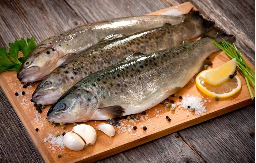 طرز تهیه سبزی پلو با ماهی مخصوص شب عید نوروز/منتشر نشود طرز تهیه سبزی پلو با ماهی مخصوص شب عید نوروز/منتشر نشود