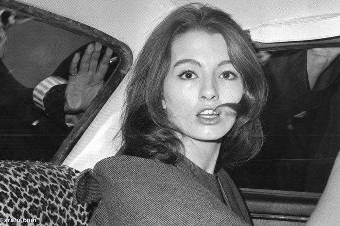 از گل ایتالیایی مهربان تا رقاصه هلندی؛ درخشان‌ترین جاسوسان جهان و سوژه‌های فریب خورده آنان؛ تاریخچه تله عسل