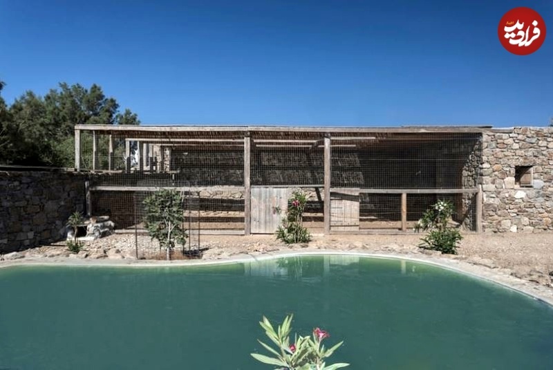 (تصاویر) تبدیل «مرغداری» به یک ویلای مدرن و جذاب! در حال تکمیل