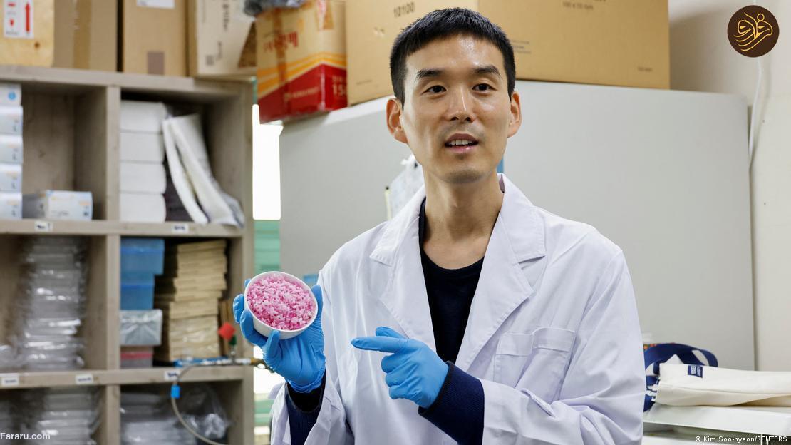 آیا برنج گوشت گاو آزمایشگاهی را می‌ خورید؟ / خوانده شد