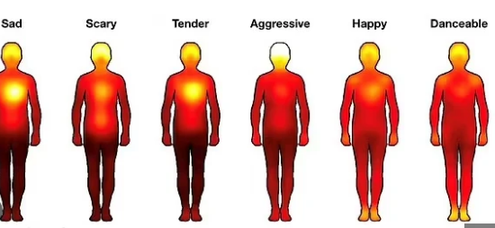 تاثیر جهانی موسیقی بر بدن؛ انواع موسیقی بر کدام قسمت‌های بدن شما تأثیر می‌گذارند؟