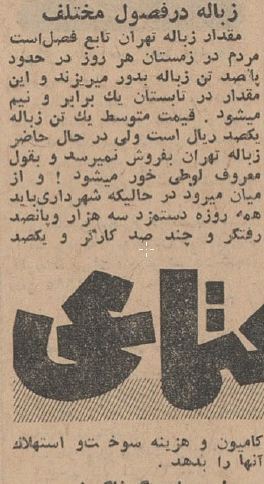 (تصاویر) سفر به تهران قدیم؛ ۶۰ سال پیش زباله‌های پایتخت اینطوری جمع می‌شد