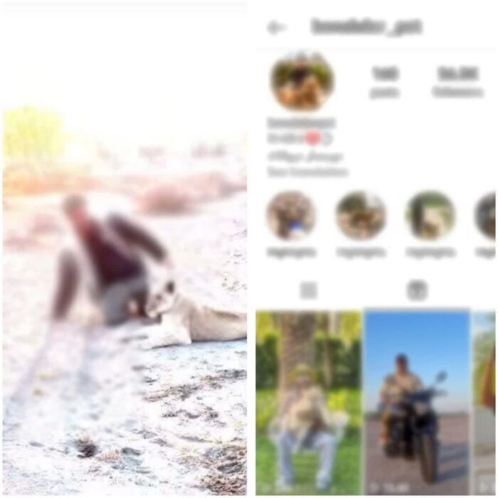 ماجرای پرسه توله شیر در خانه باغ چه بود؟