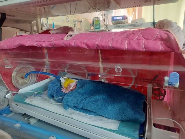 تولد ۵ قلو‌ها در تبریز