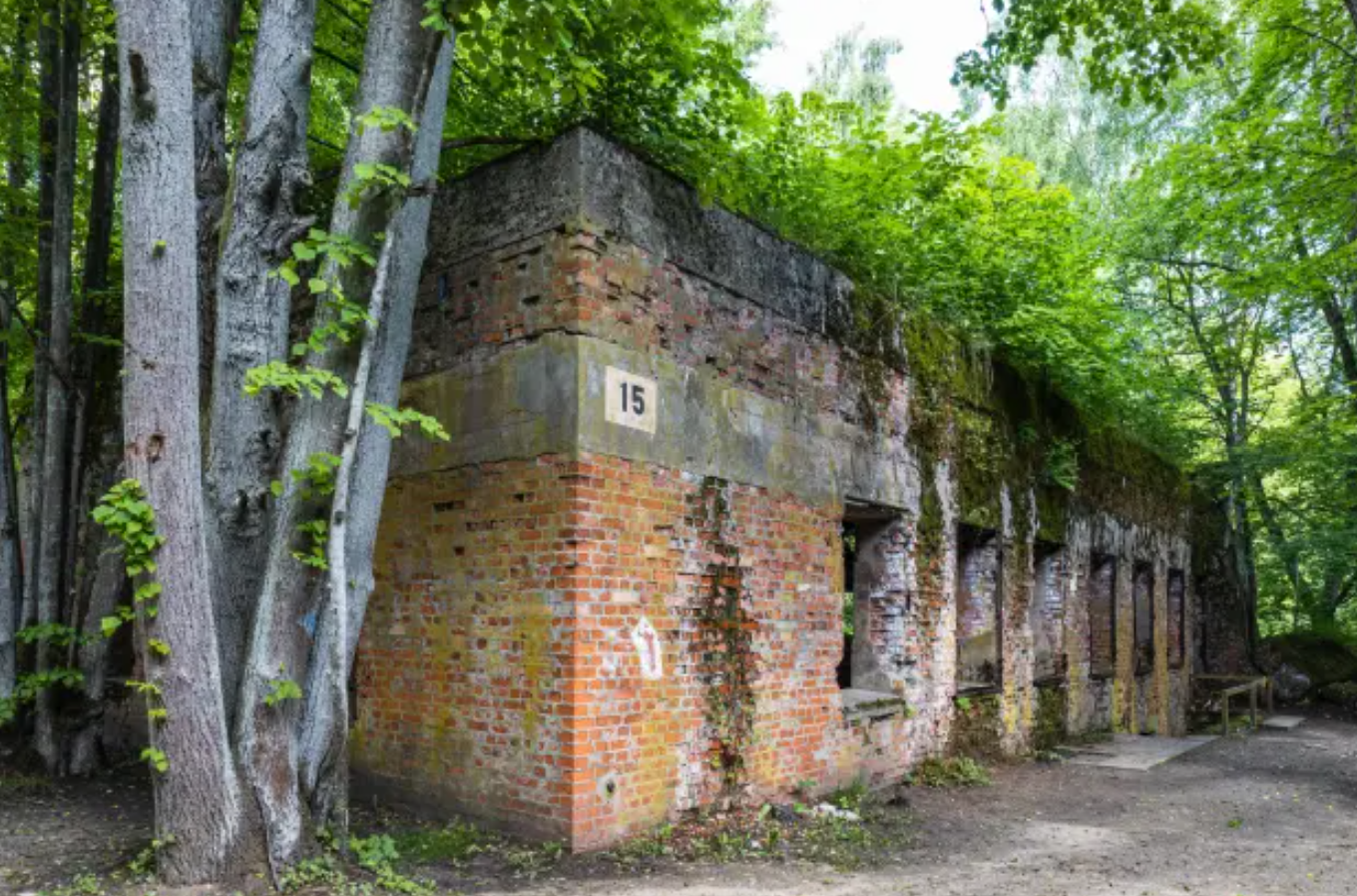 کشف ۵ جسد با دست و پا‌های قطع شده در قرارگاه آدولف هیتلر در لهستان