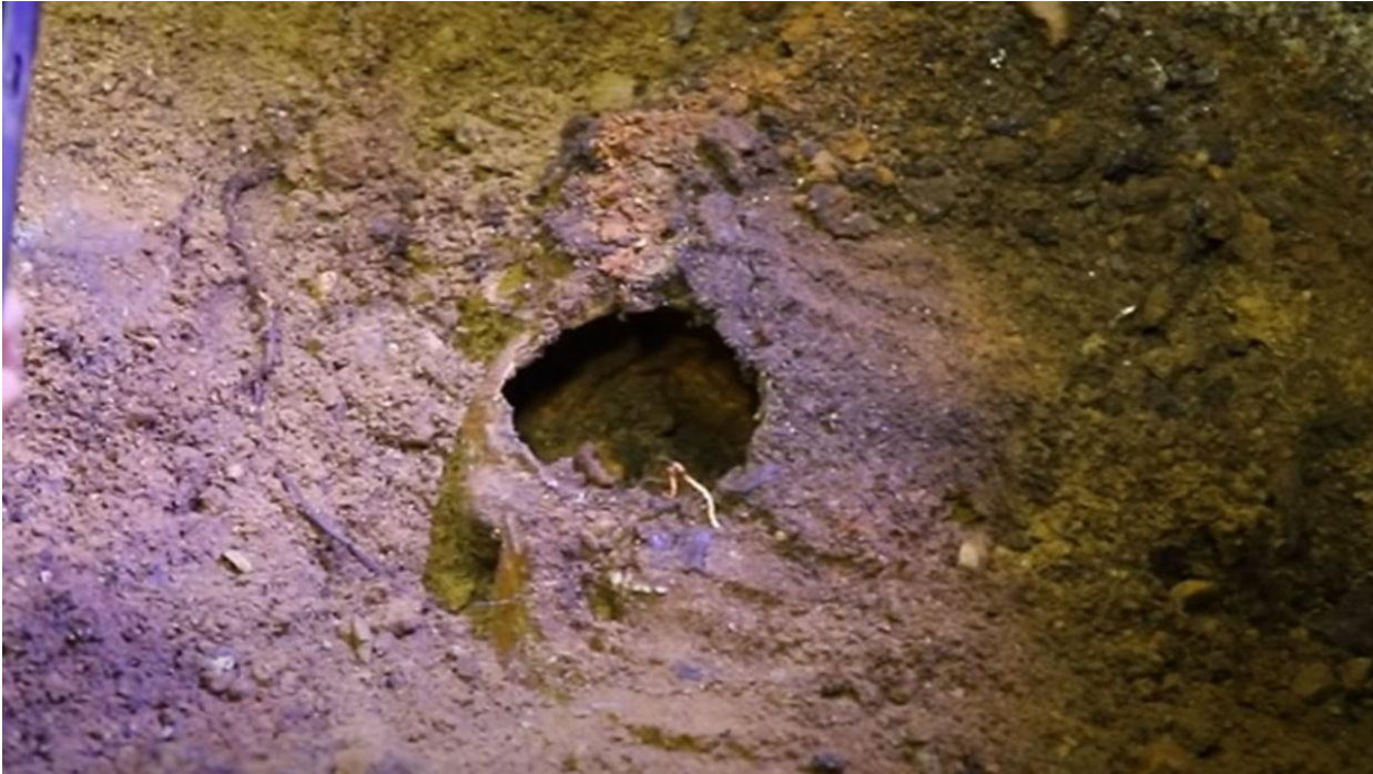 کشف ۵ جسد با دست و پا‌های قطع شده در قرارگاه آدولف هیتلر در لهستان