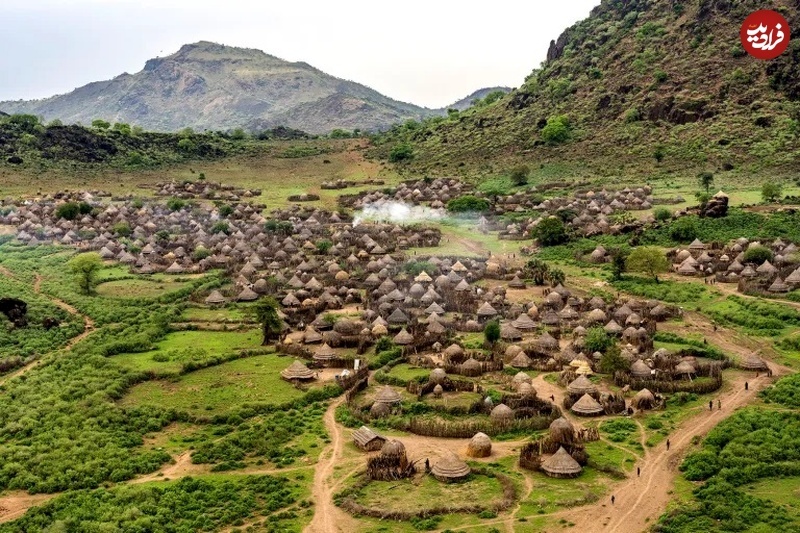 (تصاویر) بزرگترین «مهاجرت» جهان اینجا اتفاق می‌افتد