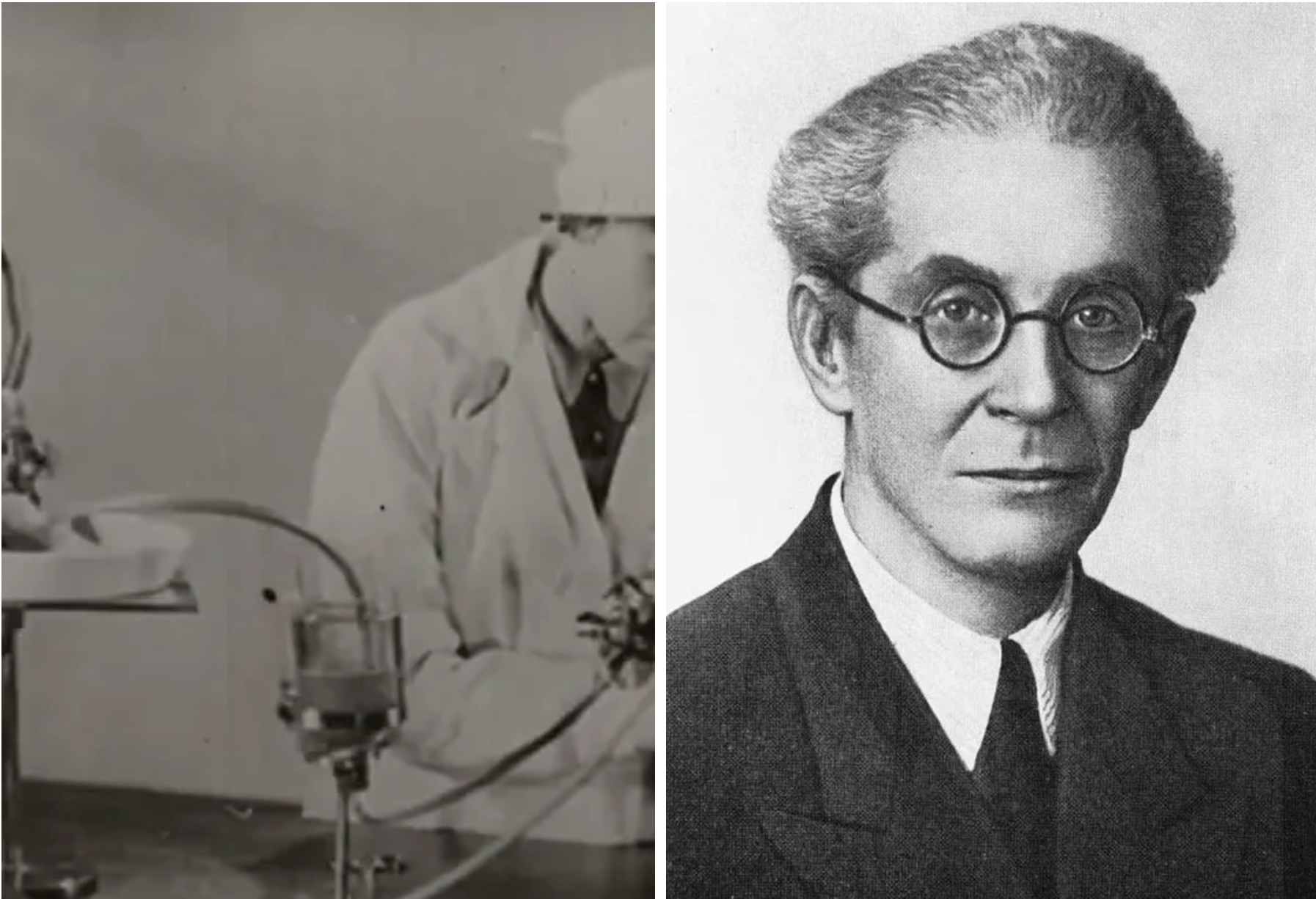 نگاهی به آزمایشات ترسناک دانشمندان اتحاد جماهیر شوروی روی حیوانات