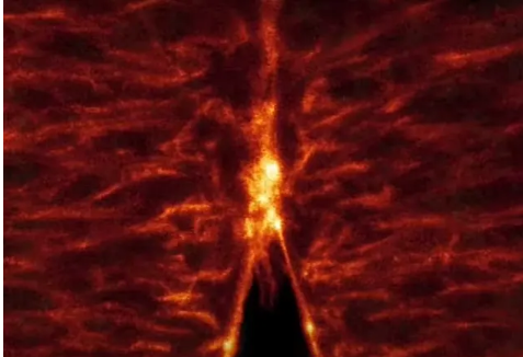 (ویدئو) ثبت تصویری بی‌سابقه از شکل‌گیری جنین؛ امیدی برای حل معماهای پزشکی