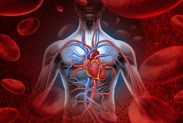 رنگ‌های مختلف چه تاثیری روی حال و هوا و احساسات شما دارند؟