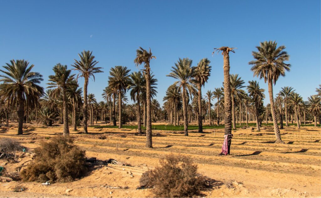 ۱۰ مورد از گرم‌ترین نقاط جهان؛ از «دره مرگ» در آمریکا تا کویر لوت ایران