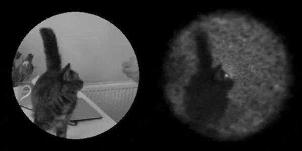 آیا نورالینک می‌تواند به نابینایان دید طبیعی بدهد؟