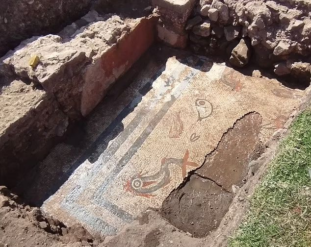 کشف یک موزائیک باستانی به نام «آکواریوم یخ زده در سنگ» با قدمتی ۲ هزار ساله