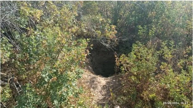 بلاگرهای گنج‌یاب با سکه‌های ساسانی حفاران را به تخت سلیمان دعوت می‌کنند!