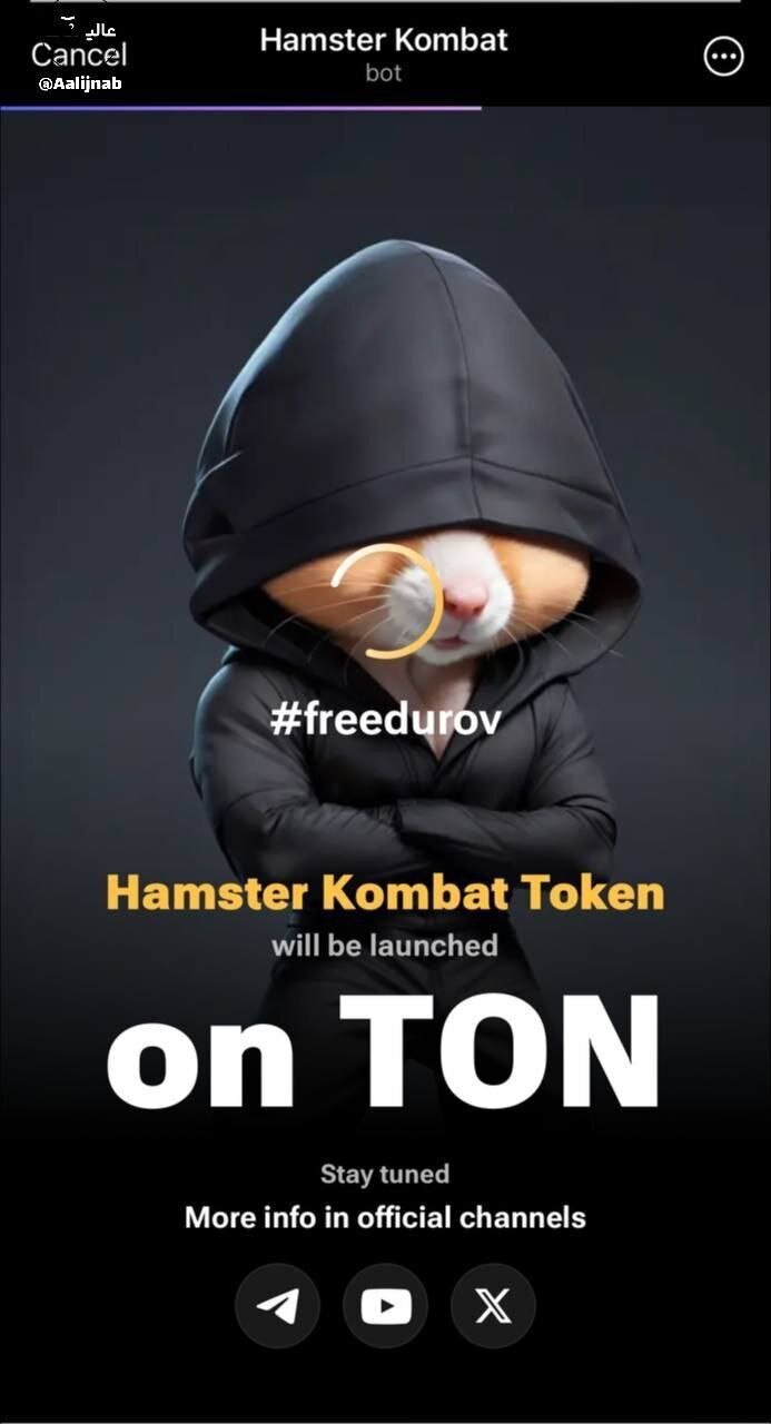 (تصویر) پوستر جدید همستر برای پاول دروف