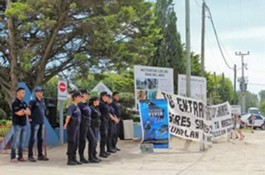 (تصاویر) نهنگ قاتلی که در استخری کوچک نگهداری می‌شود