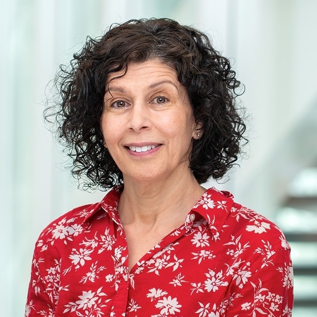 درختان خلیج فارس: درختان زیتون و رژیم غذایی مدیترانه‌ای در صحرا/ عربستان سعودی قدرت ۶۰۰۰ ساله دریای مدیترانه بر روغن زیتون را به چالش می‌کشد، اما آیا این امر پایدار خواهد بود؟ / چگونه عربستان توانست قدرت شش هزار ساله دریای مدیترانه در تولید تولید روغن زیتون را به چالش بکشد؟