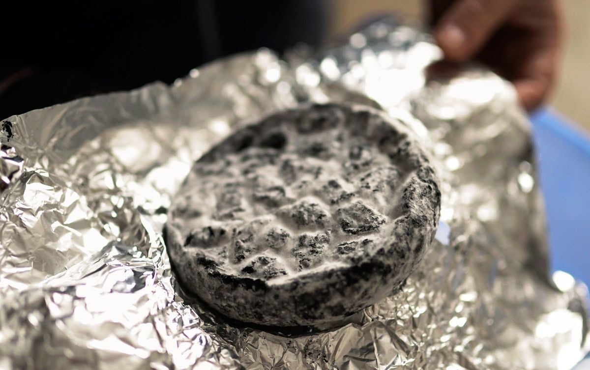 (تصویر) گران‌ترین کپک دنیا