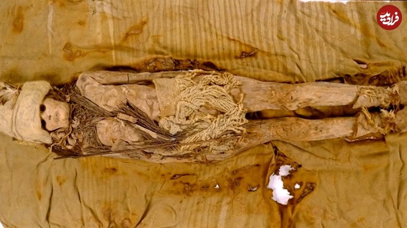 قدیمی‌ترین «پنیر» جهان بر روی اجساد «مومیایی» کشف شد