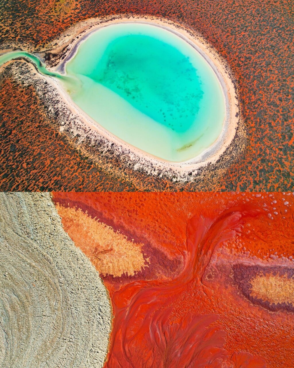 بهترین عکس سال ۲۰۲۳