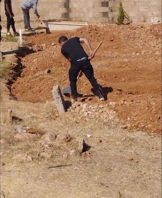 (عکس)
