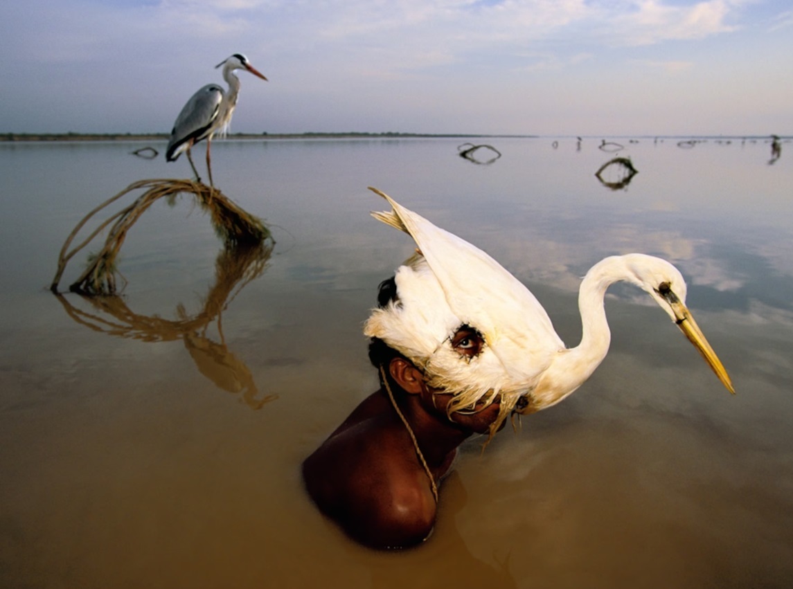 شکارچیانی که پرندگان مرده را به عنوان کلاه بر سر می‌کنند / ترجمه