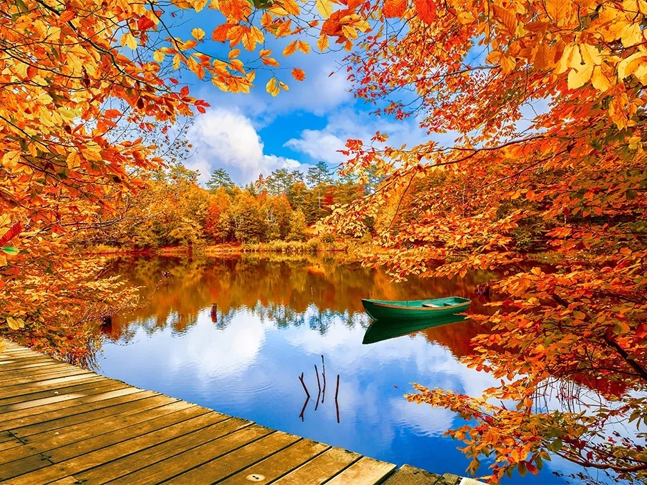 بهترین مقاصد برای سفر در پاییز؛ از شهر بادگیرها تا سرزمین آبشارها