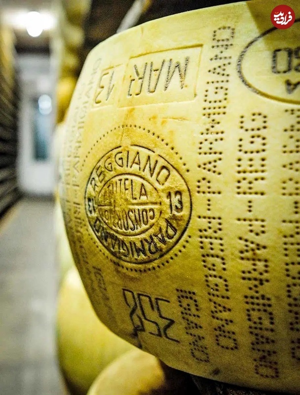 عجیب‌ترین پول‌های جهان (تصاویر)