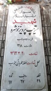 «پرویز» ایران؛ نابعه ارتش جمهوری اسلامی