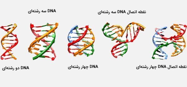 فرانسیس کریک؛ دانشمندی که ساختار DNA را کشف کرد