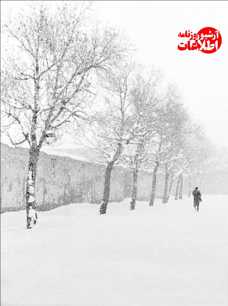 (تصاویر) مردم زیر برف‌ها تونل زدند!