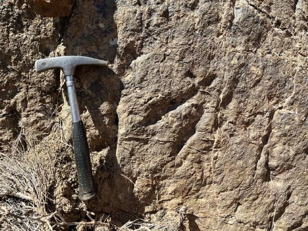 تصویر؛ ردپای دایناسور، مهمترین جاذبه گردشگری شهرستان زرند