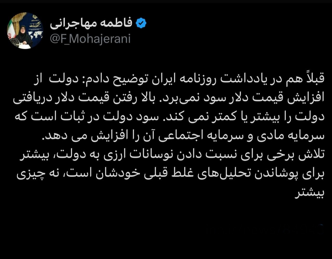 مهاجرانی: دولت از افزایش قیمت دلار سود نمی‌برد