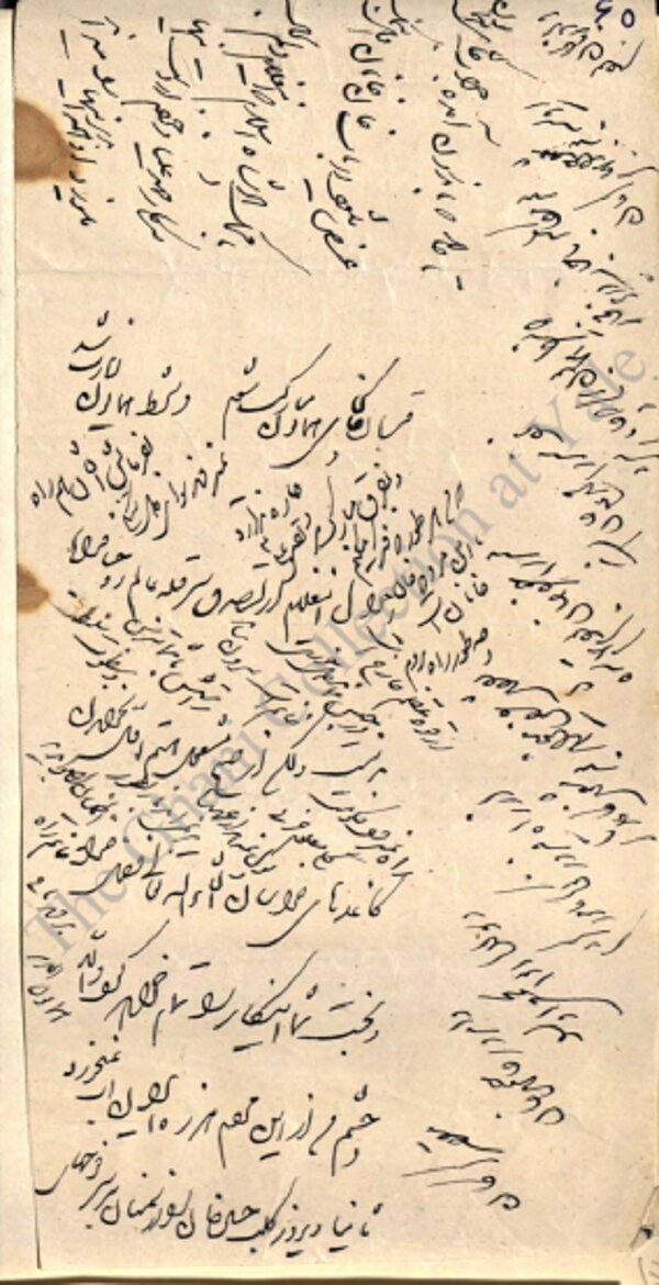 امیرکبیر: دلم برای مهدعلیا می‌سوزد