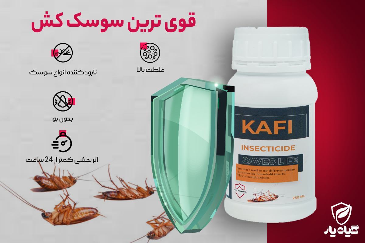 سم سوسک کش کافی Kafi : قوی ترین سم سوسک ریز دیجی کالا