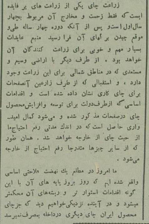 تصاویر؛ چای‌کاری در لاهیجان ۹۰ سال پیش!