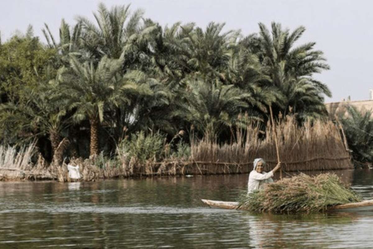 آب به زیر پوست تالاب شادگان رسید
